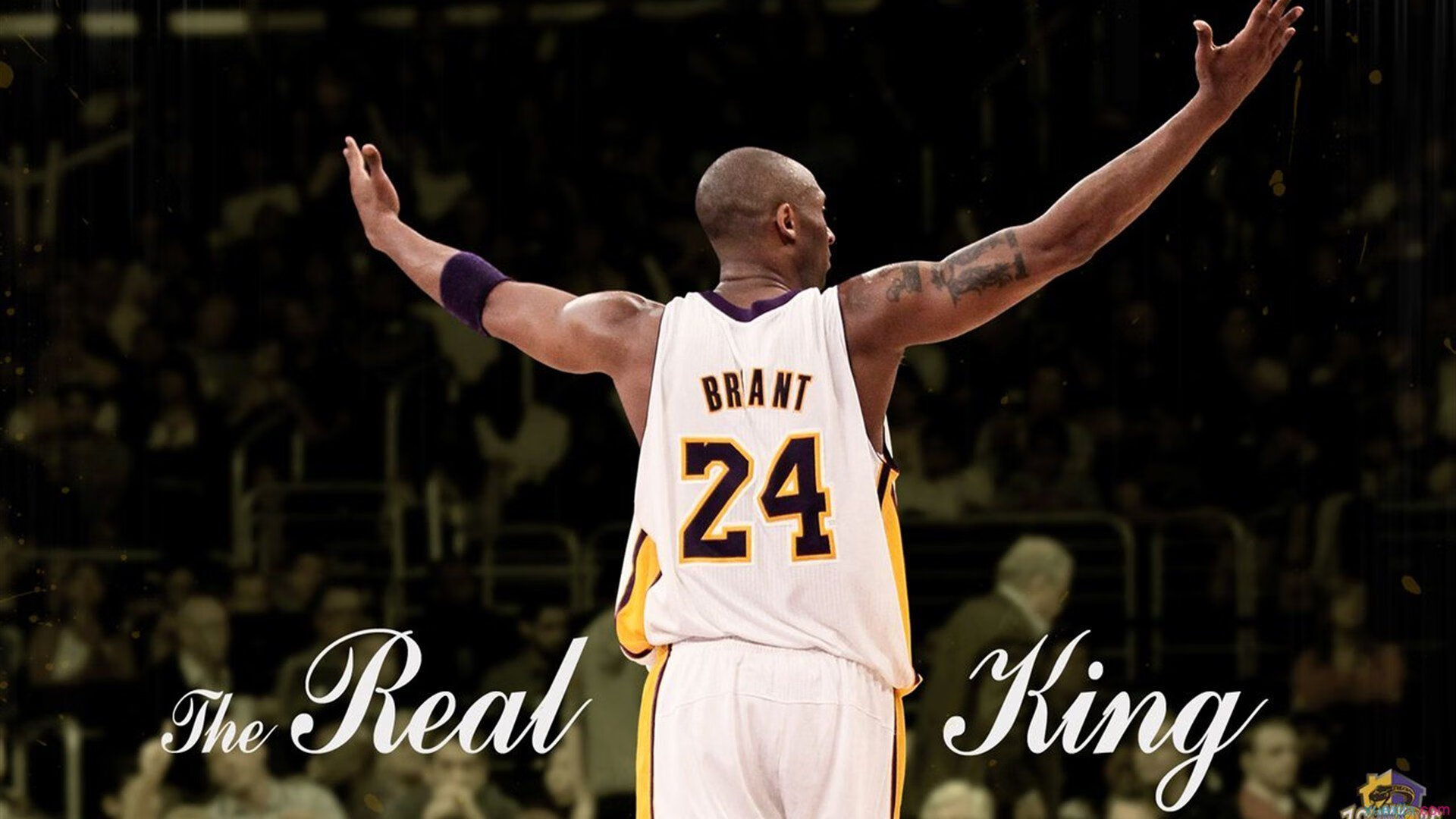 双城记,雄鹿全面压制深圳队,贝恩在F1年度争冠接管比赛